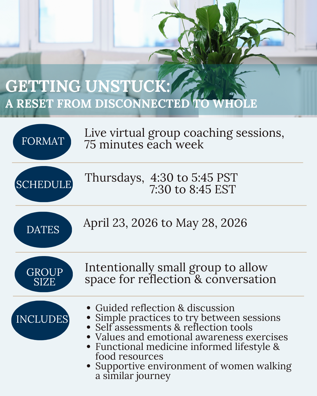 Getting Unstuck Group Coaching: A Reset from Disconnected to Whole